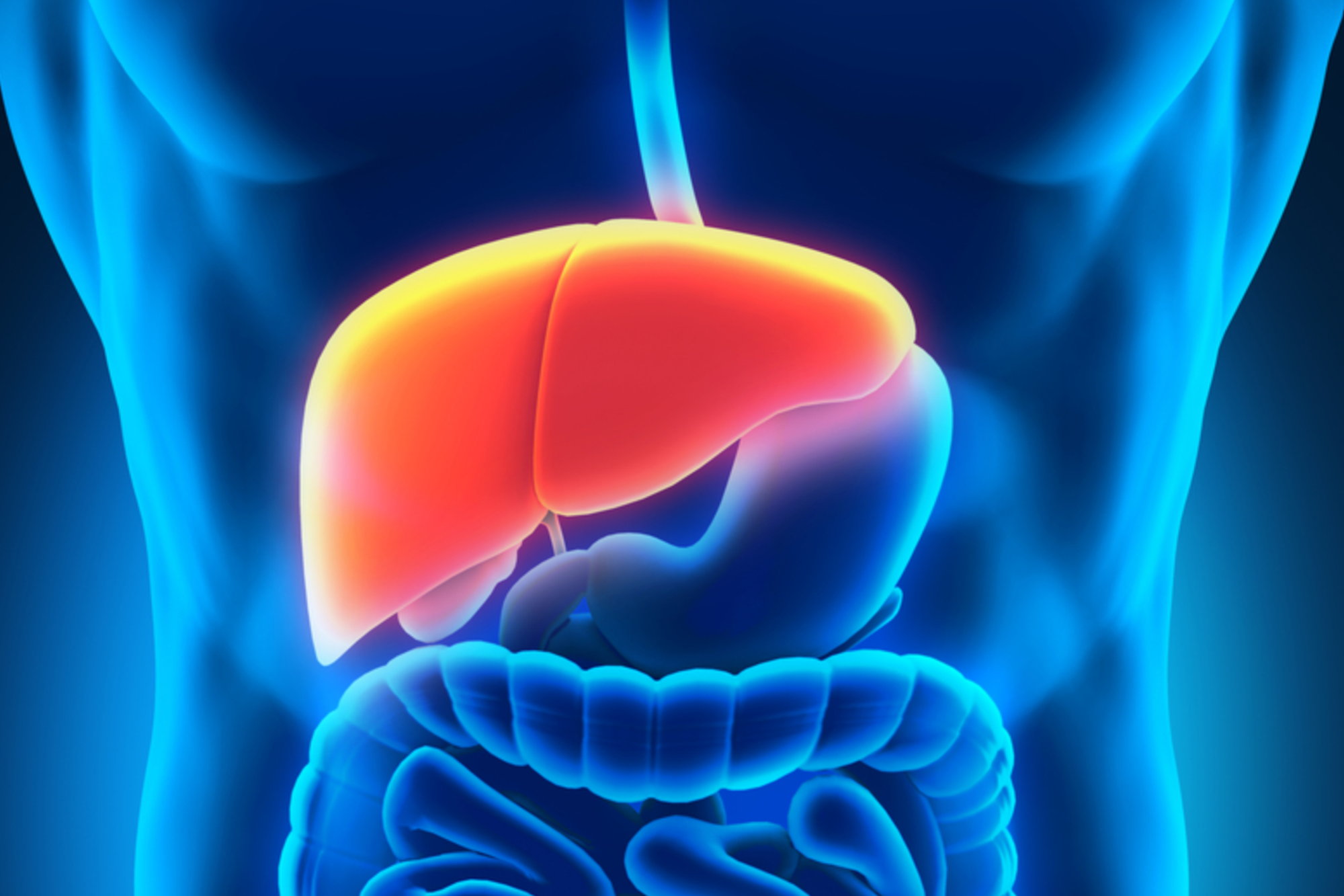 Vedic Chikitsa - Latest update - Ayurvedic Hospital for Liver Detox in Kasturinagar