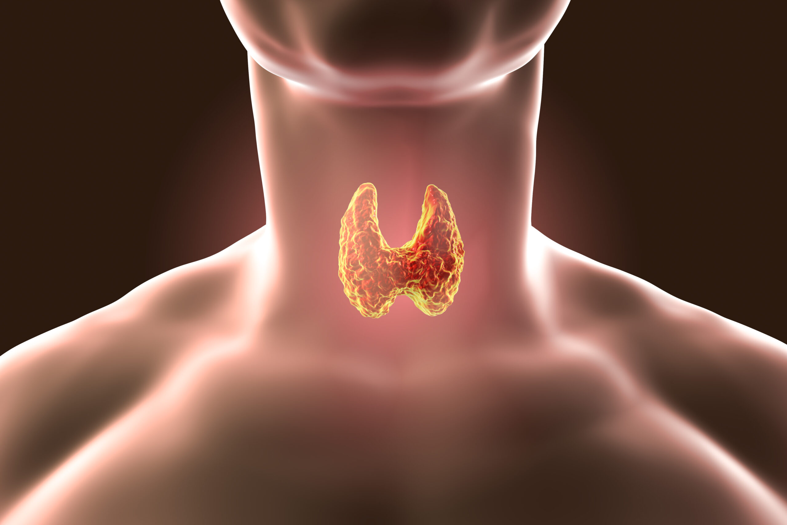 Vedic Chikitsa - Latest update - Thyroid Dysfunction Treatment  in Kasturinagar