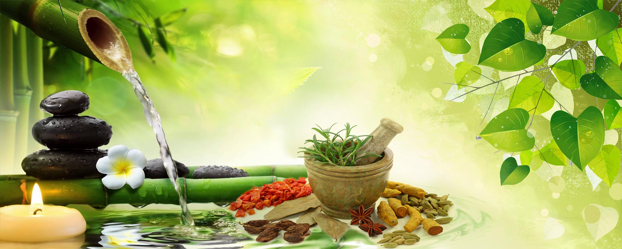 Vedic Chikitsa - Latest update - Best  KAYASEKAM Ayurvedic Treatment in Bangalore